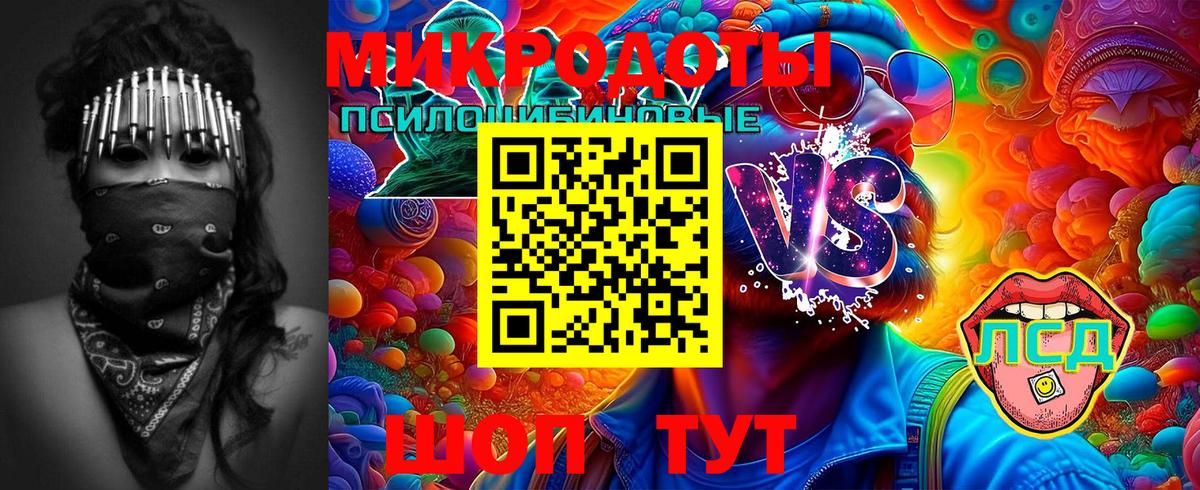 Псилоцибиновые грибы Cubensis Великие Луки