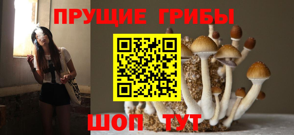 Галлюциногенные грибы прущие грибы  Галлюциногенные грибы ЛСД  Великие Луки  Вход с VPN 